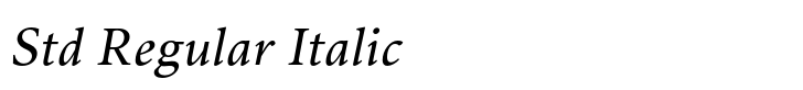 Wolfgang Std Regular Italic