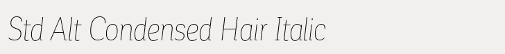 Corporative Std Alt Condensed Hair Italic