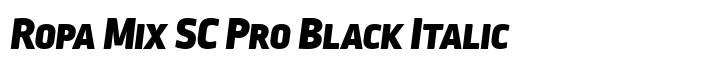 Ropa Mix SC Pro Black Italic