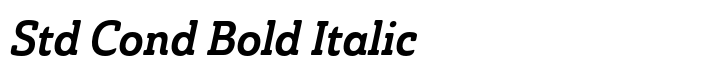 Ainslie Slab Std Cond Bold Italic