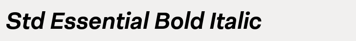Neogrotesk Std Essential Bold Italic