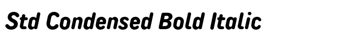 TT Rounds Neue Std Condensed Bold Italic
