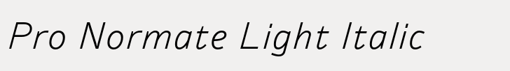 Ambiguity Pro Normate Light Italic
