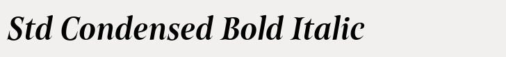 Belda Std Condensed Bold Italic