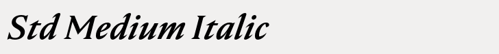 Nocturne Serif Std Medium Italic