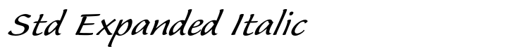 Flute Std Expanded Italic