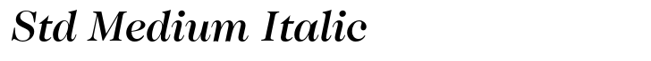 ITC Caslon No. 224 Std Medium Italic