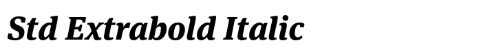 FF Meta Serif Std Extrabold Italic