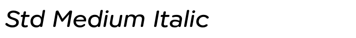 Technica Std Medium Italic