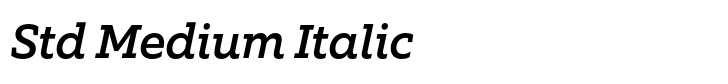 Equip Slab Std Medium Italic