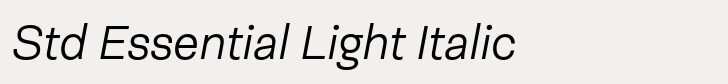 Neogrotesk Std Essential Light Italic