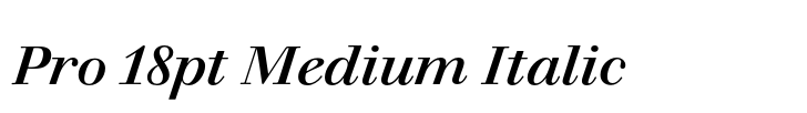 Walbaum Pro 18pt Medium Italic