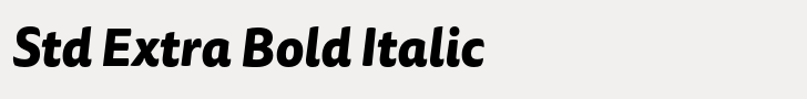 FF Tisa Sans Std Extra Bold Italic