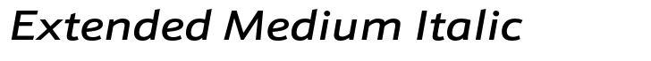 Schnebel Sans Pro Extended Medium Italic
