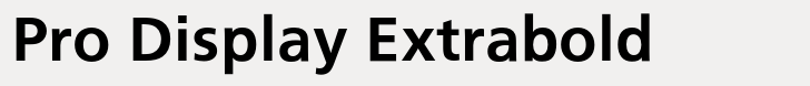 Iwata UD Gothic Pro Display Extrabold
