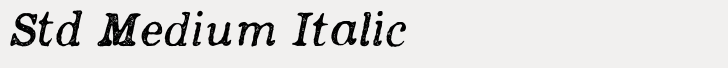Appareo Std Medium Italic