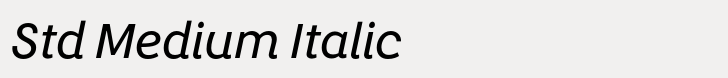 Yolk Std Medium Italic