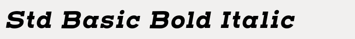 Henderson Slab Std Basic Bold Italic