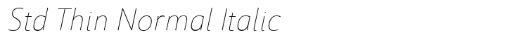 Savigny Std Thin Normal Italic