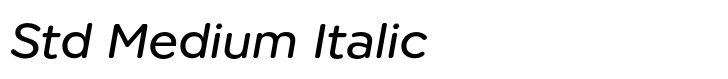 Technica Std Medium Italic