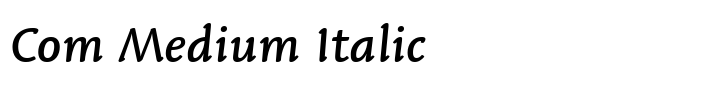 Linotype Syntax Letter Com Medium Italic