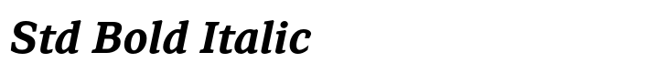 Browser Serif Std Bold Italic