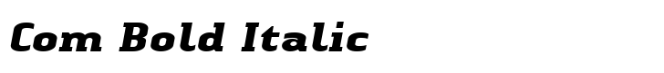 Linotype Authentic Serif Com Bold Italic