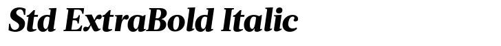 Acta Std ExtraBold Italic