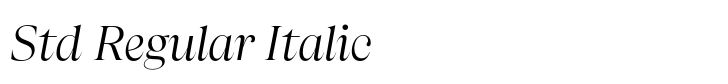 Apparel Std Regular Italic