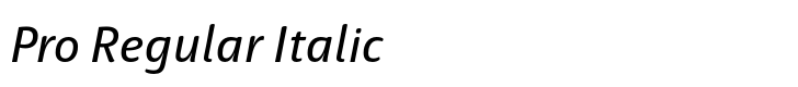 Haptic Pro Pro Regular Italic
