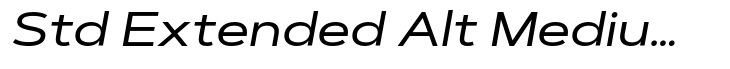 Artegra Sans Std Extended Alt Medium Italic