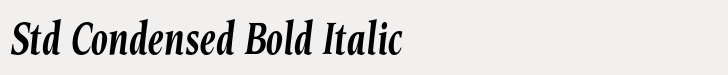 Esperanto Std Condensed Bold Italic