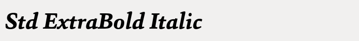 Sina Std ExtraBold Italic