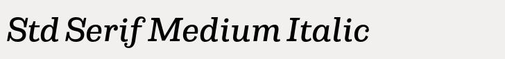 Capital Std Serif Medium Italic