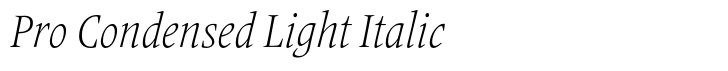 Frutiger Serif Pro Condensed Light Italic