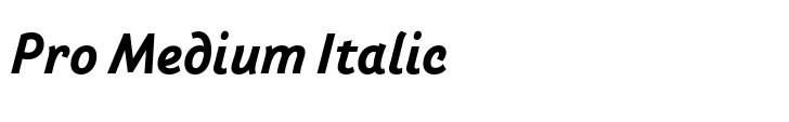Arlette Pro Medium Italic