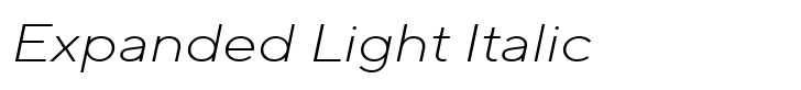 TT Norms Pro Expanded Light Italic