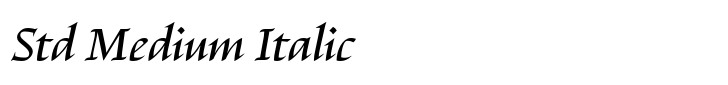Escritura Std Medium Italic