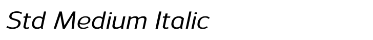 Savile Std Medium Italic