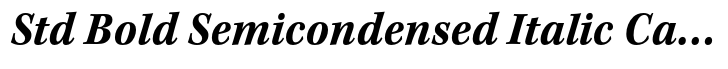 Kepler Std Bold Semicondensed Italic Caption
