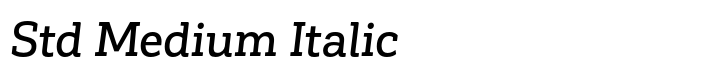 Corporative Slab Std Medium Italic