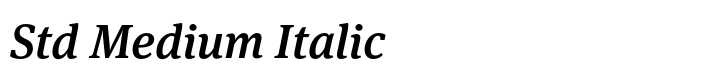 FF Meta Serif Std Medium Italic