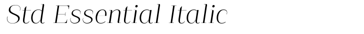 Guadalupe Std Essential Italic