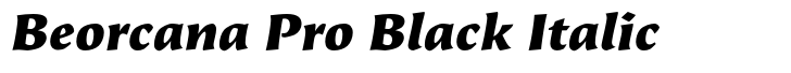 Beorcana Pro Black Italic