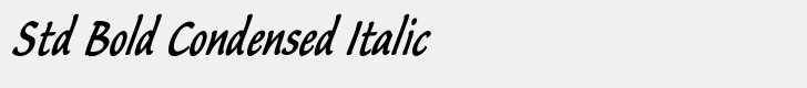 Flute Std Bold Condensed Italic