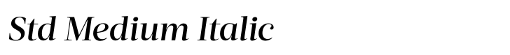 Acta Headline Std Medium Italic