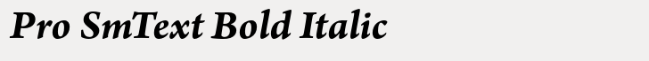 Arno Pro SmText Bold Italic