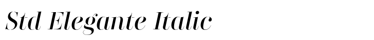 Didonesque Stencil Std Elegante Italic