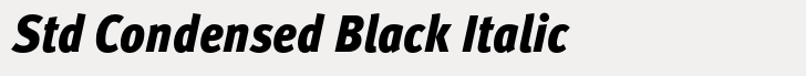 FF Meta Std Condensed Black Italic