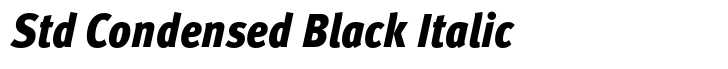 FF Meta Std Condensed Black Italic